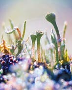 Inna Etuvgi - When We Said Yes!