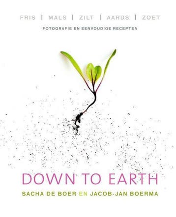 Down to Earth 9789000350568 Sacha de Boer, Boeken, Verzenden, Gelezen, Sacha de Boer