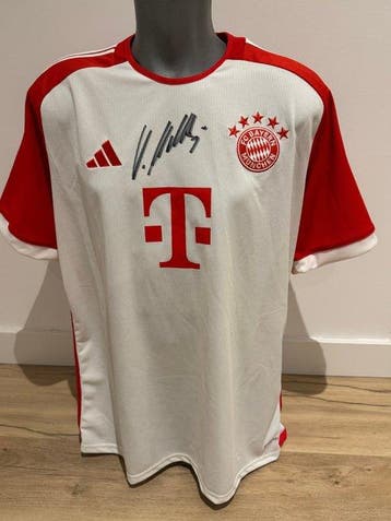 FC Bayern München - Duitse voetbal competitie - Lothar, Nieuw