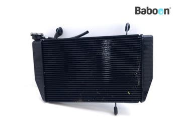 Radiateur Ducati Multistrada 1200 S 2013-2014 (MTS1200, Verzenden, Gebruikt