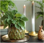 Kaarsen Dip Dye Olive Salie 24 cm Ø2,5 set 3 stuks, Ophalen of Verzenden, Nieuw