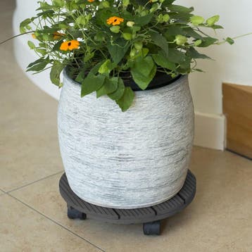 Plantenroller - Plantentrolley - Voor binnen en buiten -..., Verzenden, Nieuw