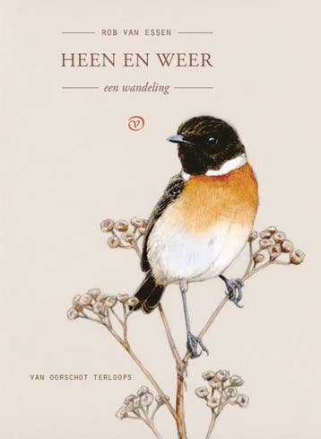 Heen En Weer | Rob van Essen | Nieuw, Ophalen of Verzenden, Nieuw, Rob van Essen