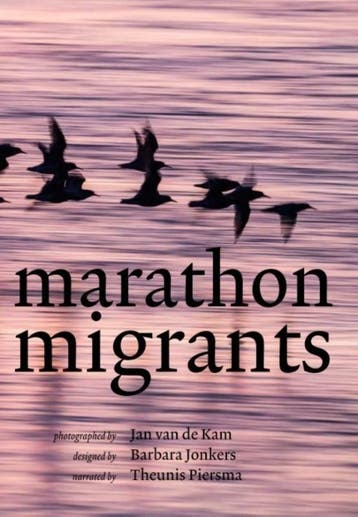Marathon migrants - Theunis Piersma 9789056153793, Verzenden, Gelezen, Theunis Piersma