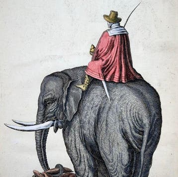 Matthäus Merian (1593-1650) - hand coloured folio, Elephant