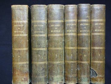 Buffon/Traviès - Oeuvres Complètes de Buffon - 1858-1863, Antiek en Kunst