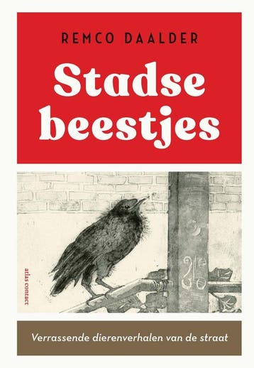 Stadse beestjes (Nieuw), Verzenden, Nieuw, Remco Daalder