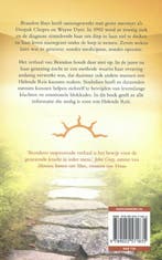 De helende reis 9789022571835 Brandon Bays, Boeken, Verzenden, Gelezen, Brandon Bays