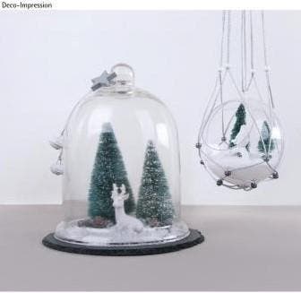 Dennenboompjes besneeuwd succulent gesorteerd 9+12 cm 4, Hobby en Vrije tijd, Knutselen, Ophalen of Verzenden, Nieuw