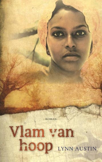 Vlam van hoop / Amerikaanse burgeroorlog-trilogie / 3, Verzenden, Gelezen, Lynn Austin