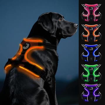 Joytale Hondentuig USB | 44% Korting, Dieren en Toebehoren, Honden-accessoires, Ophalen of Verzenden, Zo goed als nieuw
