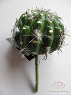 Cactus Small Ball Groen Latex Zijde per stuk, Ophalen of Verzenden, Nieuw