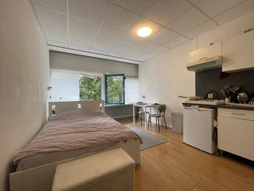 Te huur: Kamer Kwinkenplein in Groningen, Groningen