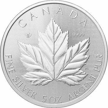 5 Troy Ounce - Zilver .999 - Maple Leaf 2026 - 155,5 gram -