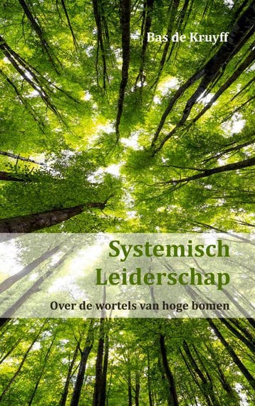 Systemisch Leiderschap | Bas de Kruyff | Nieuw, Ophalen of Verzenden, Nieuw, Bas de Kruyff