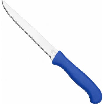 RÖR Solingen Vespermes – Steakmes – RVS – Lemmet 13 c, Ophalen of Verzenden, Nieuw, Rvs of Chroom