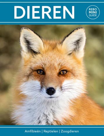 Rebo mini guide - Dieren (Goed), Verzenden, Nieuw, Marianne Taylor