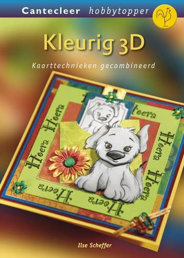 Kleurig 3D / Hobbytopper 9789021338194 Ilse Scheffer, Verzenden, Zo goed als nieuw, Ilse Scheffer