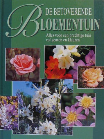 BETOVERENDE BLOEMENTUIN - S. Stein 9789024363919, Verzenden, Gelezen, S. Stein