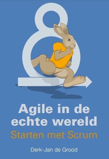 Agile In De Echte Wereld | Derk-Jan Grood | Nieuw, Ophalen of Verzenden, Nieuw, Derk-Jan Grood