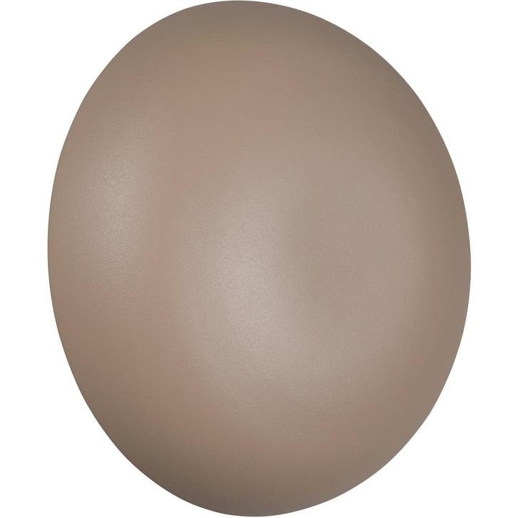 LED Wandlamp - Trion Phelix - 1 Lichtpunt van 1.5 Watt -, Huis en Inrichting, Lampen | Wandlampen, Nieuw, Metaal, Ophalen of Verzenden