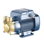 Pedrollo PVm 55 - 230V - 0,18kW - 0,25PK, Tuin en Terras, Ophalen of Verzenden, Nieuw