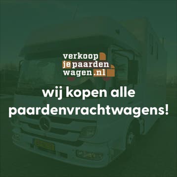 Gezocht paardenvrachtwagens! Vlot en eerlijk!, Dieren en Toebehoren, Paarden en Pony's | Trailers en Aanhangwagens, Ophalen, Gebruikt