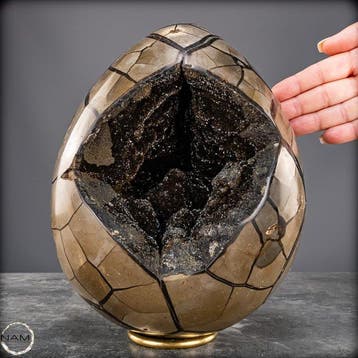 Zeer decoratieve septarian Druse, met calcietkristallen-