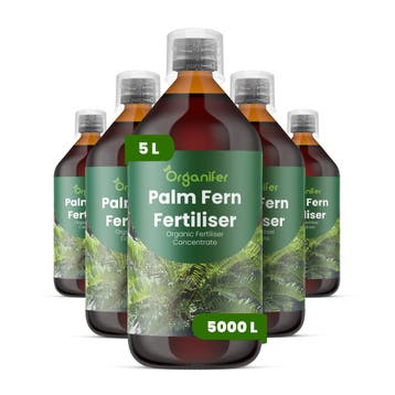 Palmvaren Vloeibare Meststof - Set 5x1 liter, Verzenden, Mest