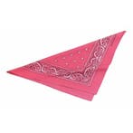 Cowgirl zakdoek roze - Zakdoeken, Verzenden, Nieuw