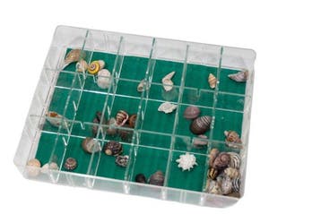 Hele zee-werelden in miniatuurformaat: veelzijdige