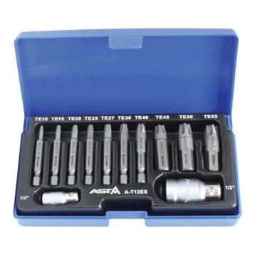 Torx Uitdraai Set - 12 Delig - Schroef En Bout Verwijder Set, Ophalen of Verzenden, Nieuw