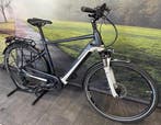 Electrische fiets Pegasus Premio Evo 10 met Bosch CX 85NM, Overige merken, Ophalen of Verzenden, Zo goed als nieuw, 50 km per accu of meer
