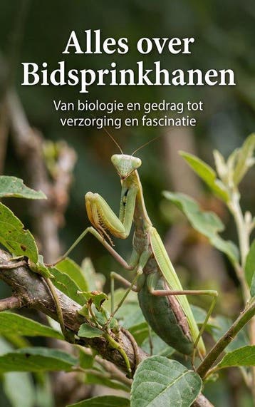 9789465485249 Alles over Bidsprinkhanen Andries B.V., Verzenden, Nieuw, Andries B.V.