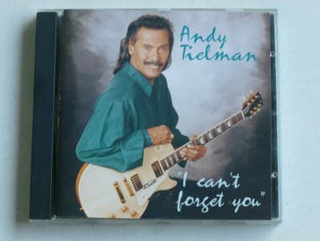 Andy Tielman - I cant forget you, Cd's en Dvd's, Ophalen of Verzenden, Zo goed als nieuw