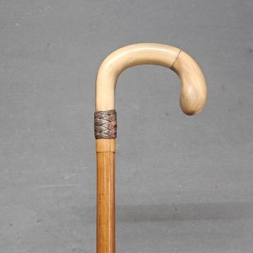 Wandelstok - Hoorn, Hout - 1920er hoorn wandelstok, Antiek en Kunst