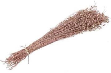 Lino Grass Vlas Linum Droogbloem Bundel Orange 100 gram, Huis en Inrichting, Ophalen of Verzenden, Nieuw