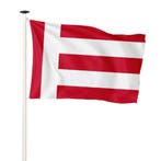 Vlag Eindhoven 100x150cm (voor gevelstok), Nieuw