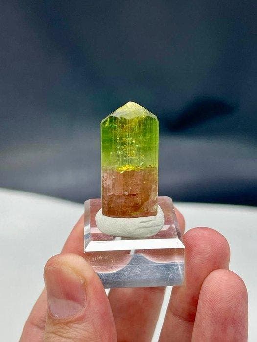 Prachtige tweekleurige toermalijn Kristal - Hoogte: 32 mm -, Verzamelen, Mineralen en Fossielen