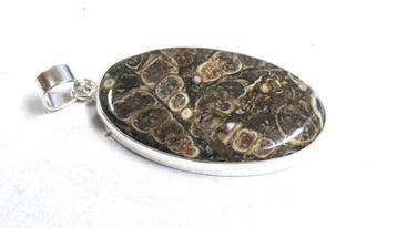 Hanger van turritella-jaspis 100% natuurlijk Cabochon- 12.39