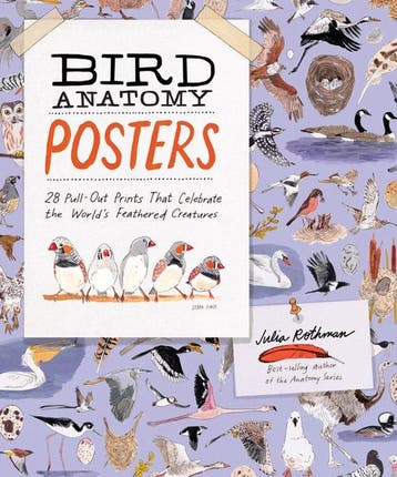 9798897080748 Anatomy- Bird Anatomy Posters, Verzenden, Nieuw, Julia Rothman