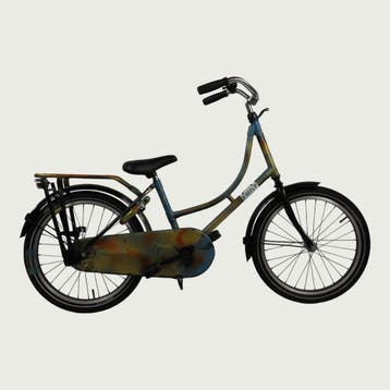 BikeFlip kinderfiets 20 inch, Ophalen of Verzenden, Gebruikt, BikeFlip