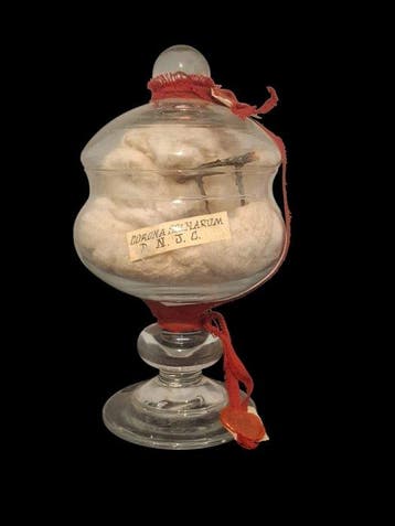 Reliekhouder - Glas, Hout, Textiel - 1850-1900 - Doorn uit