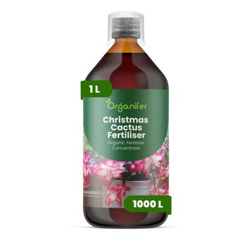 Kerstcactus Vloeibare meststof - 1 liter, Verzenden, Mest