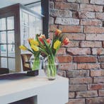 € 1,40 p/st Oude gevelstenen metselstenen Kloostermoppen, Doe-het-zelf en Verbouw, Metselstenen, Verzenden, Gebruikt, Bakstenen