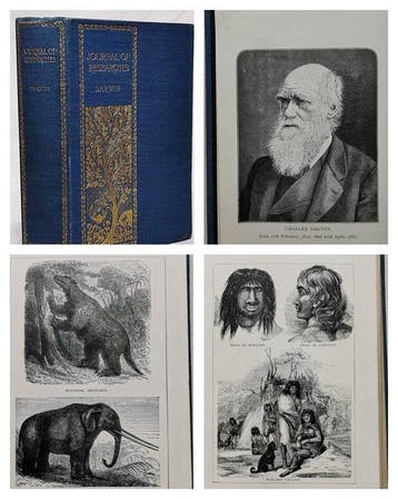Charles Darwin - Journal of Researches into the Natural