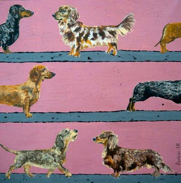 Bazévian DelaCapucinière - Dachshund dogs parade 2 - READY
