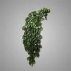 Brynxz Hop Humulus Kunstplant Groen Hanger vuller 73 cm, Ophalen of Verzenden, Nieuw