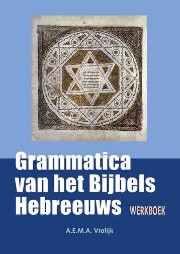 9789463693431 Werkboek bij grammatica van het Bijbels Heb..., Verzenden, Nieuw, A.E.M.A. Vrolijk