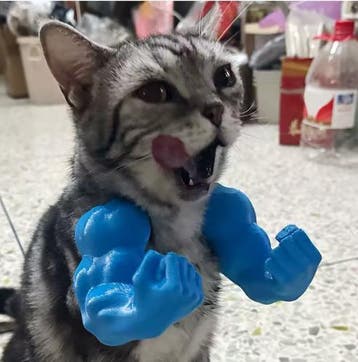 Kattenkostuum Spierarm – Grappig 3D Cosplay Accessoire, Verzenden, Nieuw